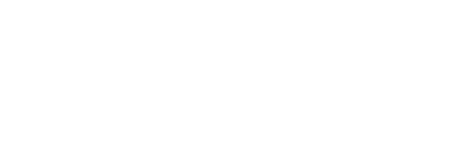 EMAZIS — Cabinet de conseil IT